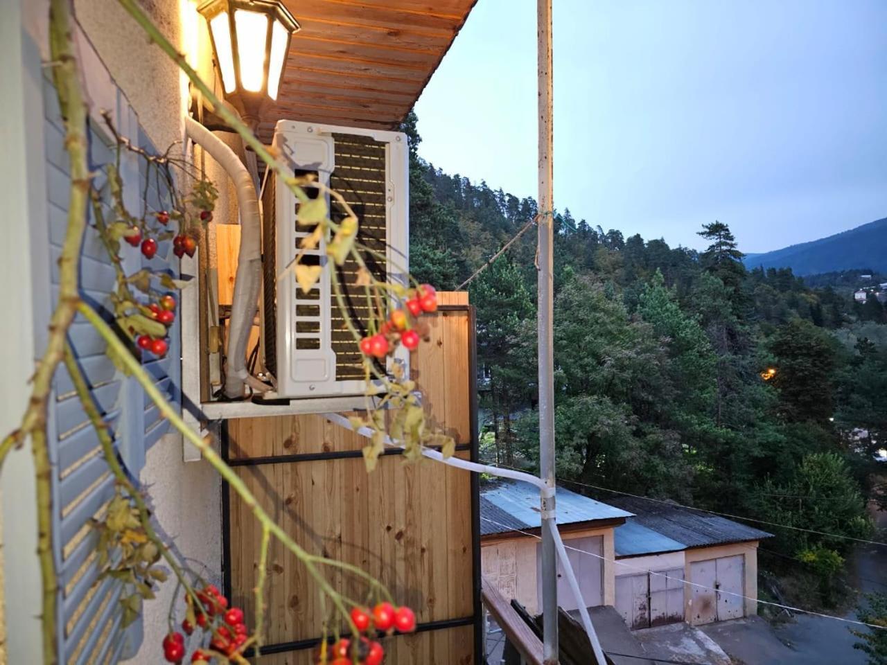 Guest House Likani 2017 Borjomi Phòng bức ảnh