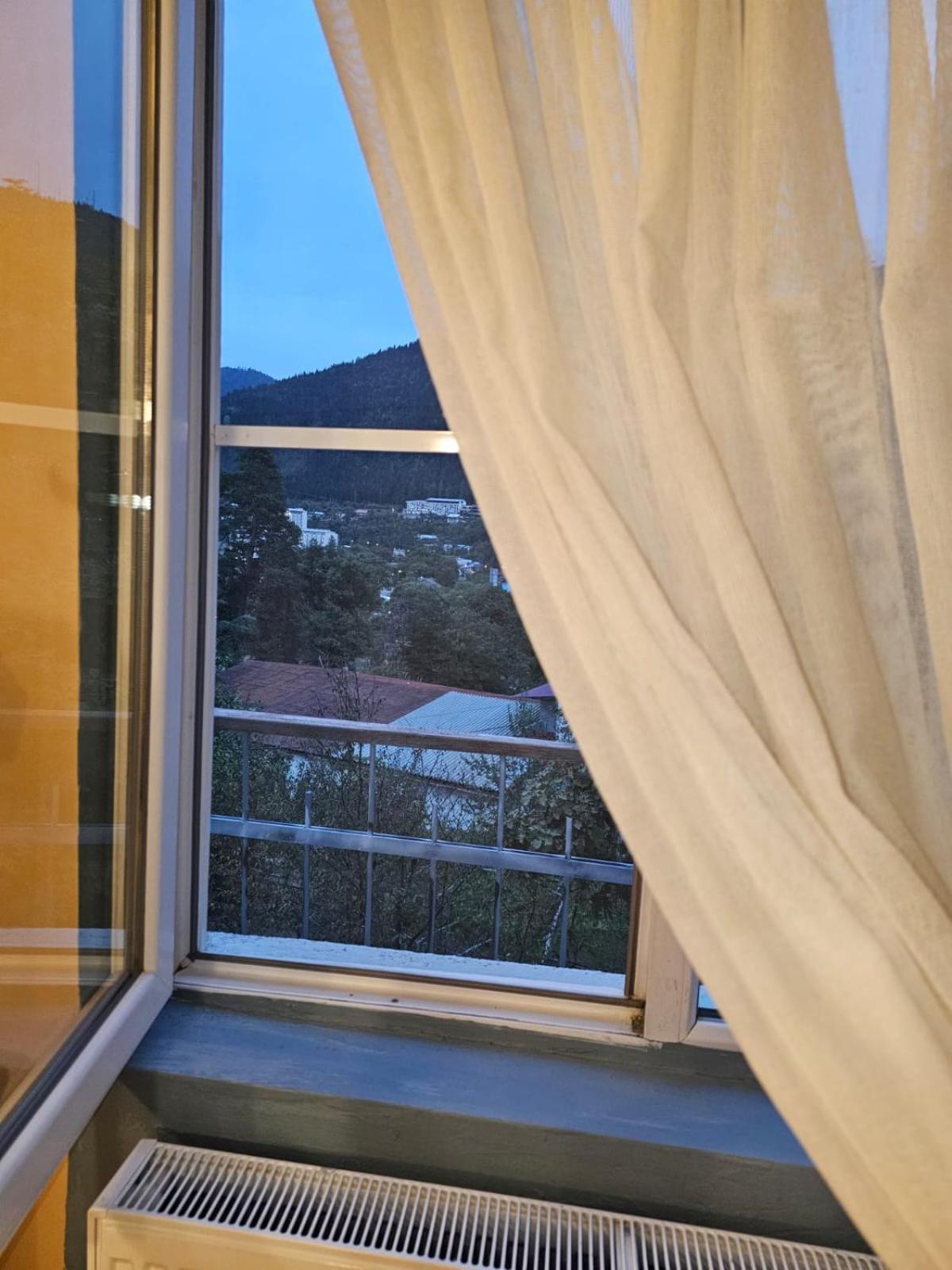 Guest House Likani 2017 Borjomi Phòng bức ảnh