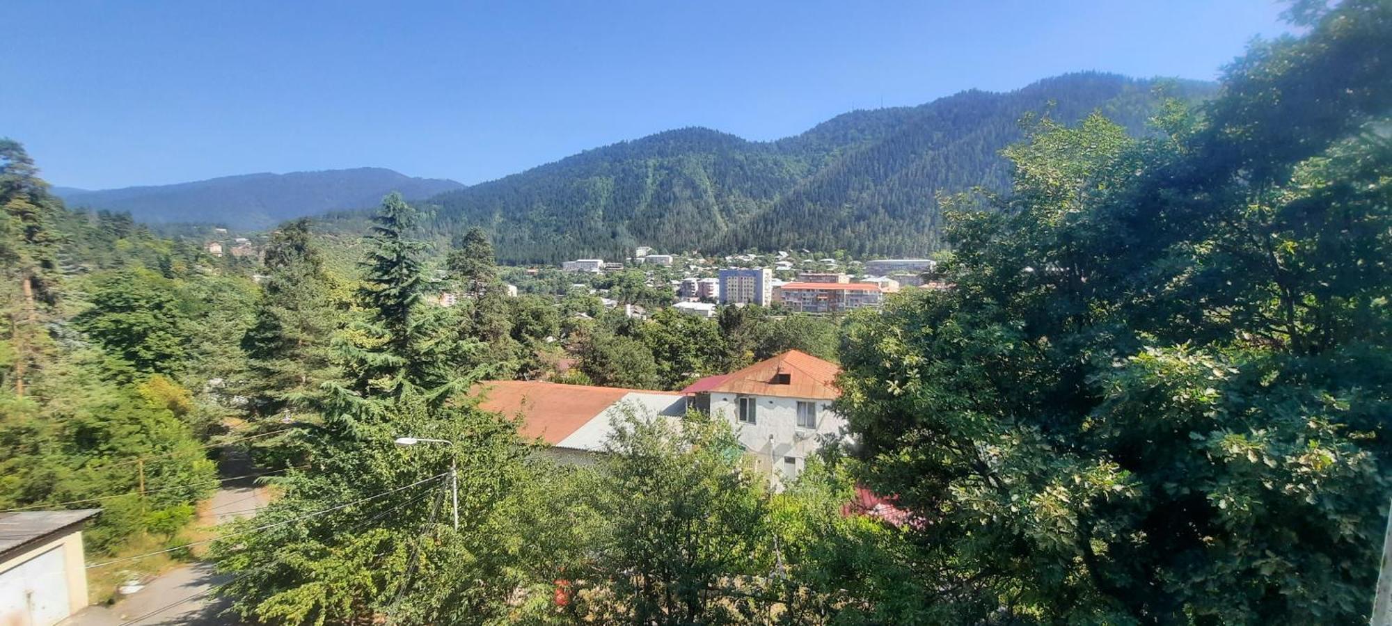 Guest House Likani 2017 Borjomi Phòng bức ảnh
