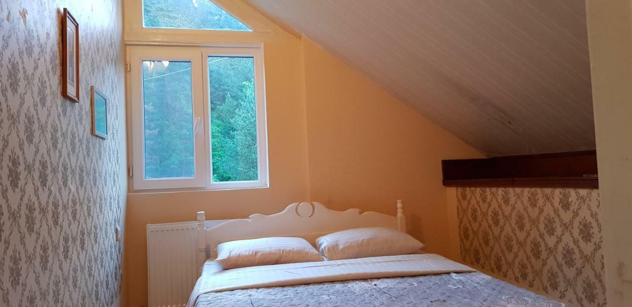 Guest House Likani 2017 Borjomi Ngoại thất bức ảnh