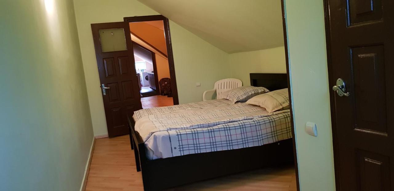 Guest House Likani 2017 Borjomi Ngoại thất bức ảnh